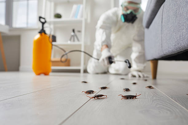 Commercial Kitchen Cockroach Control in Essex Fells